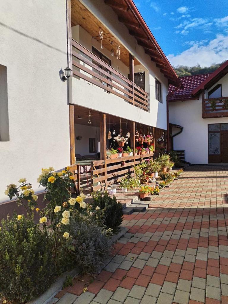 Casa Irina Hotel Mînăstirea Humorului Exterior foto